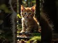 A cat in the forest #ai #cats #aicat #sad #cat #story #catcute #cutecat