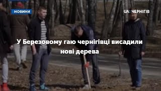 Сьогодні чернігівці втілили «План Б»: у Березовому гаю містяни разом висаджували нові дерева