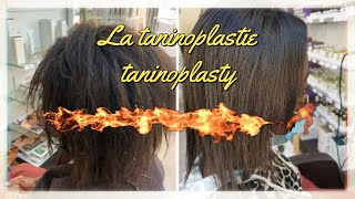 Taninoplasty, taninoplasty, Lisshair #lissagetannin # Braziliansmoothing # Frenchsmoothing # keratin