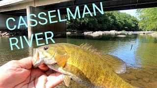 RANDOM FISHING at the CASSELMAN RIVER