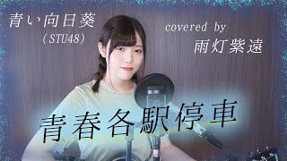 青春各駅停車/青い向日葵(STU48) - Seishun Kakuekiteisya (cover)