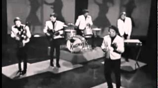 The Kingsmen - Louie, Louie (Shindig 1965)