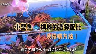 小型鱼饲料的选择配比，及投喂方法！这样鱼吃的很猛啊！哈哈