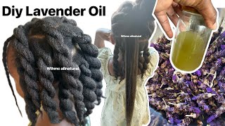 Lavender Oil for hair growth! How to make Lavender essential oil for faster hair growth