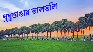 ঘুঘুডাঙ্গার তালতলি, নওগাঁ | Ghughudanga Taltoli, Noagaon