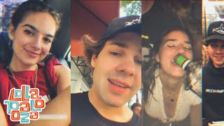 THE VLOG SQUAD @ LOLLAPALOOZA CHICAGO 2019 | INSTAGRAM STORIES