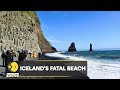 WION Fineprint | Deadly attraction: Iceland's unique black sand beaches