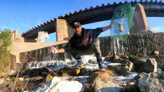 Exploración, encontré lugar lleno de peces. ACUARIO URBANO, PESCA URBANA hoy