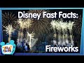 11 Fast Facts About Walt Disney World Fireworks!