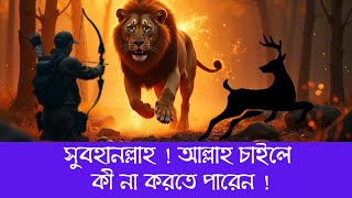 আল্লাহ চাইলে সবকিছু সম্ভব! /Islamic Motivational Video #আল্লাহ #quran #IslamicMotivation #faith