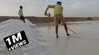 कैसे बनता है नमक | Salt making video | Salt making process