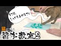 【水で書ける習字】ウチの猫たちに再び習字教室を開いてもらった結果...