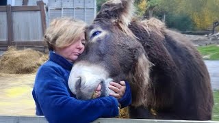 Love of animals will heal your heart with their loving hugs