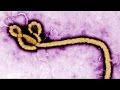 Ebola: Several Americans Possibly Exposed to Virus