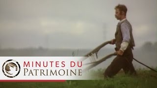 Minutes du patrimoine: Les maisons de tourbe