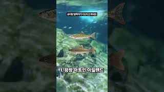 이런 캠핑장은 외국에만 있는 줄 아셨죠? 🏕️ 대한민국 이색 캠핑장