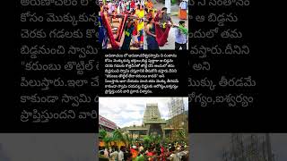 Why Thousands Walk with Sugarcane at This Temple?🕉️🙏❤️