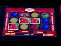 live play on multiplay 81 multi lotto slot machine big win