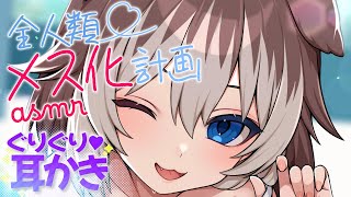 【KU100┆ASMR】🦴全人類メス化計画♥こそこそ囁きとぐりぐり耳かきで堕ちよ？🐾🦴【囁き/耳塞ぎ/耳ふー/耳かき】