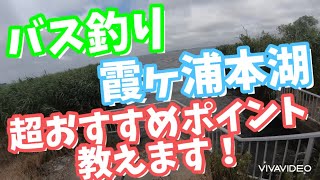 【バス釣り】夏　霞ヶ浦この水門釣れます！おすすめポイント