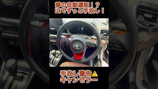 夢の自動運転！？　LTAでずっと手放し出来る　手放し警告⚠️キャンセラー