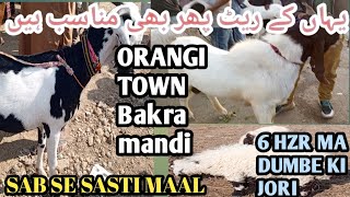 orangi town bakra mandi latest update mall yahan perm mandi munasib hi December 29, 2024