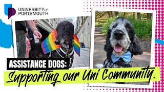 Meet our assistance dogs | University of Portsmouth