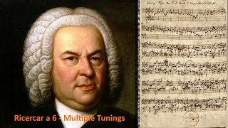 BACH RICERCAR A 6, in Multiple Tunings [1 Hour+]