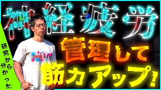 【筋トレ】神経疲労を正しく管理すれば、あなたの筋力はもっと伸びる！