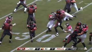 CFL Top 10 Plays of 2013