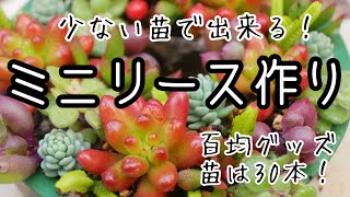 【多肉で小さなリース作り】苗は6種30本、少ない苗で作る小さなリース、材料は百均