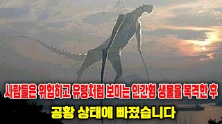 사람들은 위험하고 유령처럼 보이는 인간형 생물을 목격한 후 공황 상태에 빠졌습니다