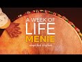 Menie Djembe Rhythm: Learn How to Play 4 Patterns & Play-Along the Groove