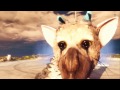 The Last Guardian: Final Boss + Ending (PS4/1080p)