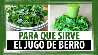 PARA QUE SIRVE EL JUGO DE BERRO | PROPIEDADES DEL JUGO DE BERRO