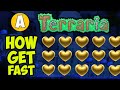 Terraria How To Get Life Fruit (2024) | Terraria How To Get Gold Hearts | Terraria How To Get 500 HP