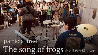 patricia tree - The song of frogs（2024.10.20 すみだストリートジャズフェスティバル）