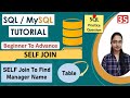 35-SELF JOIN in SQL |JOIN Tutorial | JOINS Interview Query |Types of JOIN |Why do we need SELF JOIN