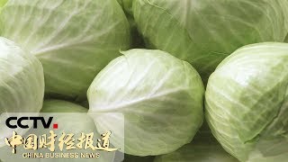 《中国财经报道》北京：供应增加，九月蔬菜价格同比降两成 20191015 11:00 | CCTV财经