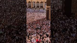 Hajj Live 2023 | Viral Video Arafah Mina | Makkah | Mecca  | Labaik Allahuma Labaik | حج مباشر