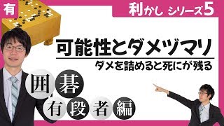 有段者のための囲碁講座◯⚫️利かしシリーズ第5回「可能性とダメヅマリ」