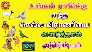 உங்கள் ராசிக்கேற்ற செல்லப்பிராணி வளர்ப்பு பிராணி எது ? வளர்த்தால் என்ன ஆகும் ?