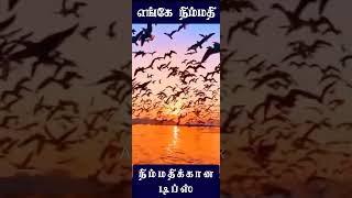 60 வயதுக்கு மேல் நிம்மதியாக வாழ வேண்டுமானால் அமைதியை தேடுங்கள் #நிம்மதி #அமைதி #nature #goodmorning