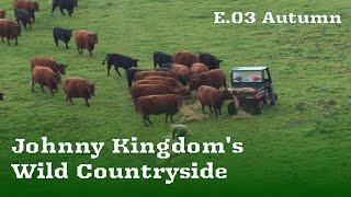 Johnny Kingdom's Wild Countryside | E03 Autumn