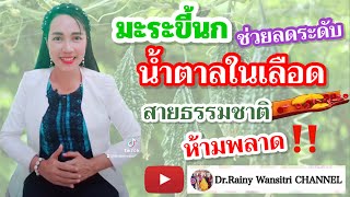 มะระขี้นกช่วยลดระดับน้ำตาลในเลือดได้ สายธรรมชาติห้ามพลาดคลิปนี้!!! by Dr.Rainy Wansitri | EP.19