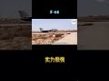 f14雄貓特點大概揭秘，夢中情貓是如何練成的？ f14 軍事 戰機