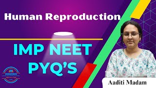 NEET | PYQ |  Biology | Human Reproduction #biology #science #humanreproduction