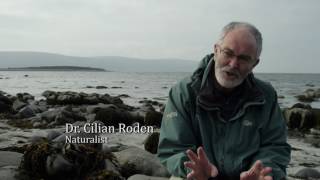 Extract from RTE Series Ireland’s Ocean: Nitrate and phosphate run off into the sea in Ireland