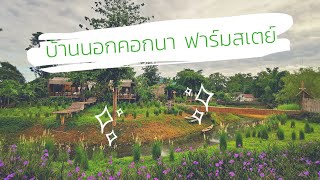 กลับบ้านนอกพาลูกไปดำนา  รีวิวบ้านนอกคอกนาฟาร์มสเตย์เขาใหญ่