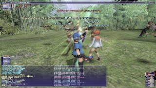 FF11 オーメン詰み 〜サポ戦士〜 個別で